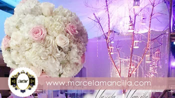 Bodas en la Playa en Cartagena